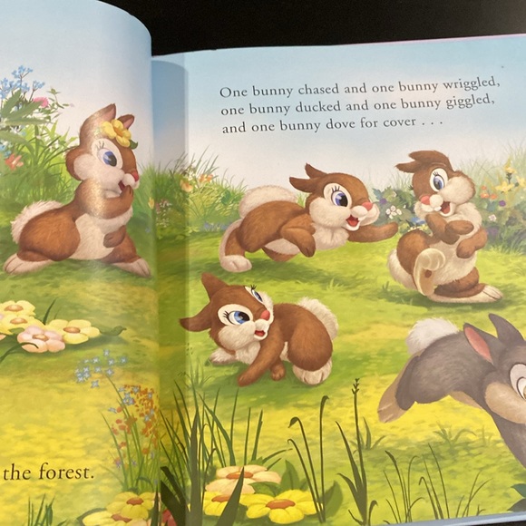 Disney Bunnies: Thumper Finds A Friend - Hardcover Children’s Book - Picture 6 of 11